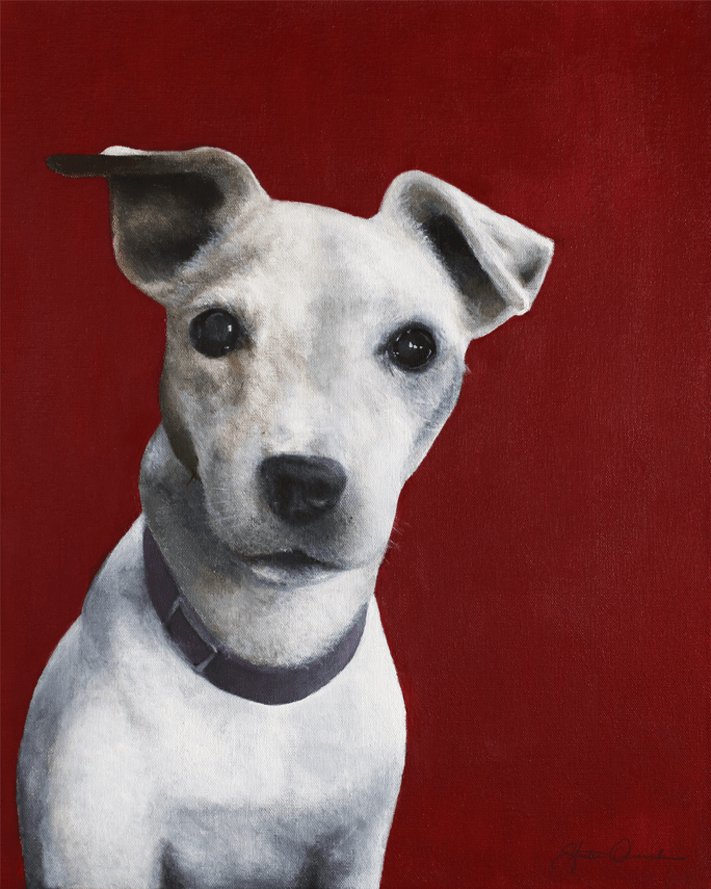 Web-Upload Compressed.png