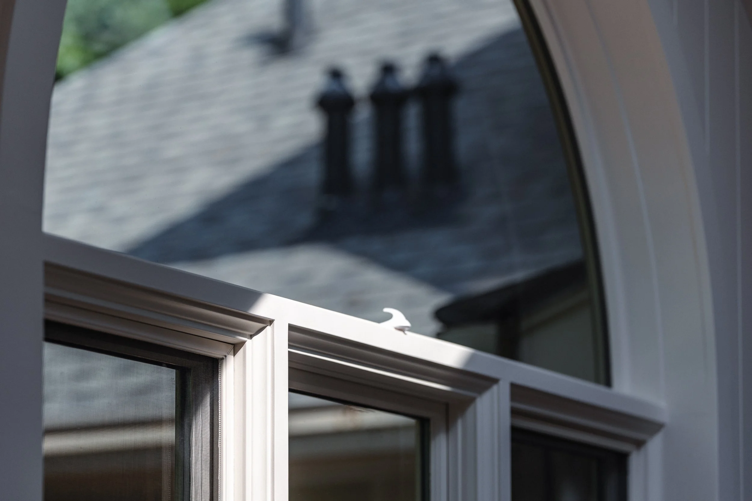 Edit (64 of 209).jpg