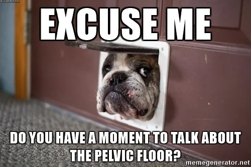 excuse-me-do-you-have-a-moment-to-talk-about-the-pelvic-floor.jpg