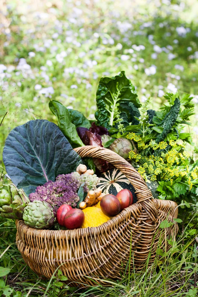 FoodJuly15008.jpg