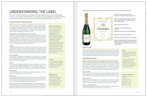 paired-understanding-the-labe03.jpg