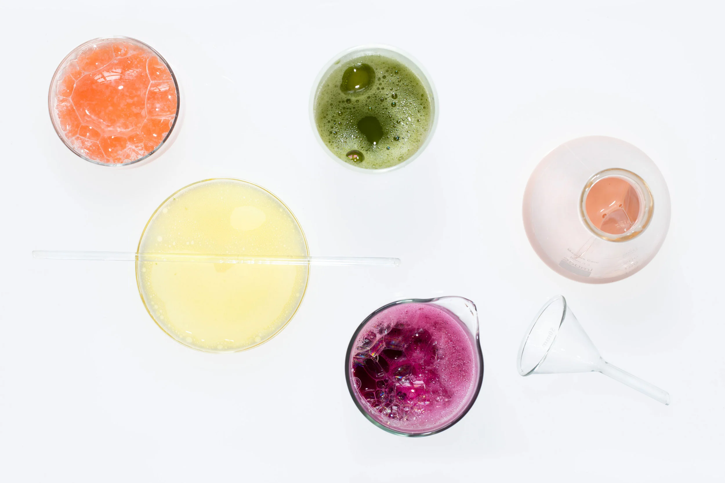 img_fermentation.jpg