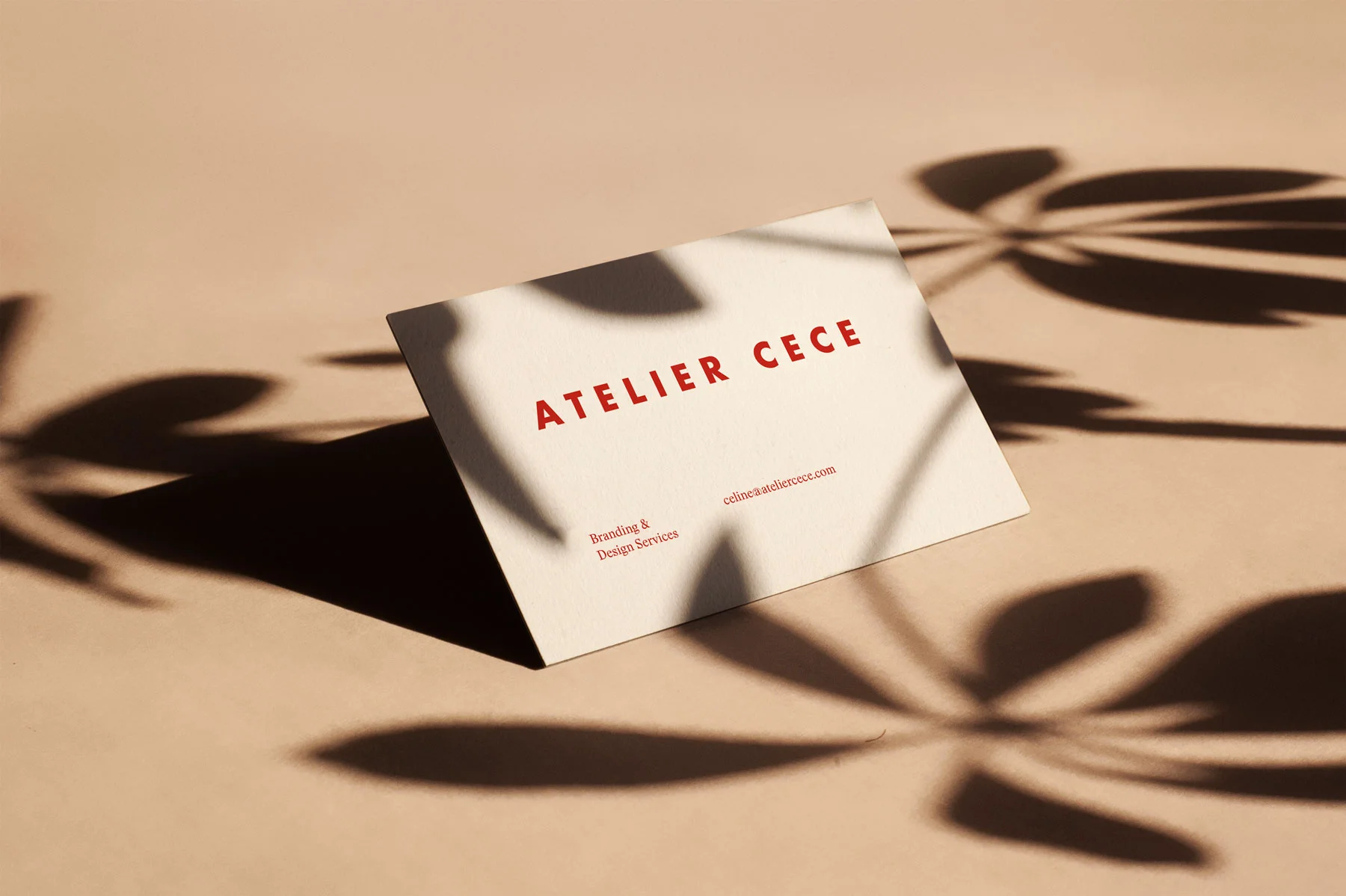 ateliercece-bizcard-03.jpg
