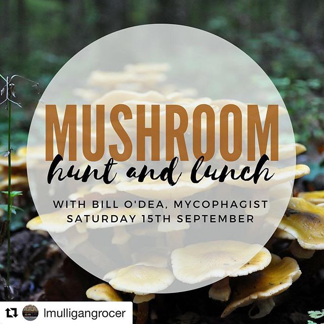 #Repost @lmulligangrocer with @get_repost
・・・
Scones, a morning of mushroom identification and then an Autumnal lunch including some of the edible mushrooms we find. The perfect September day. #thisisirishfood