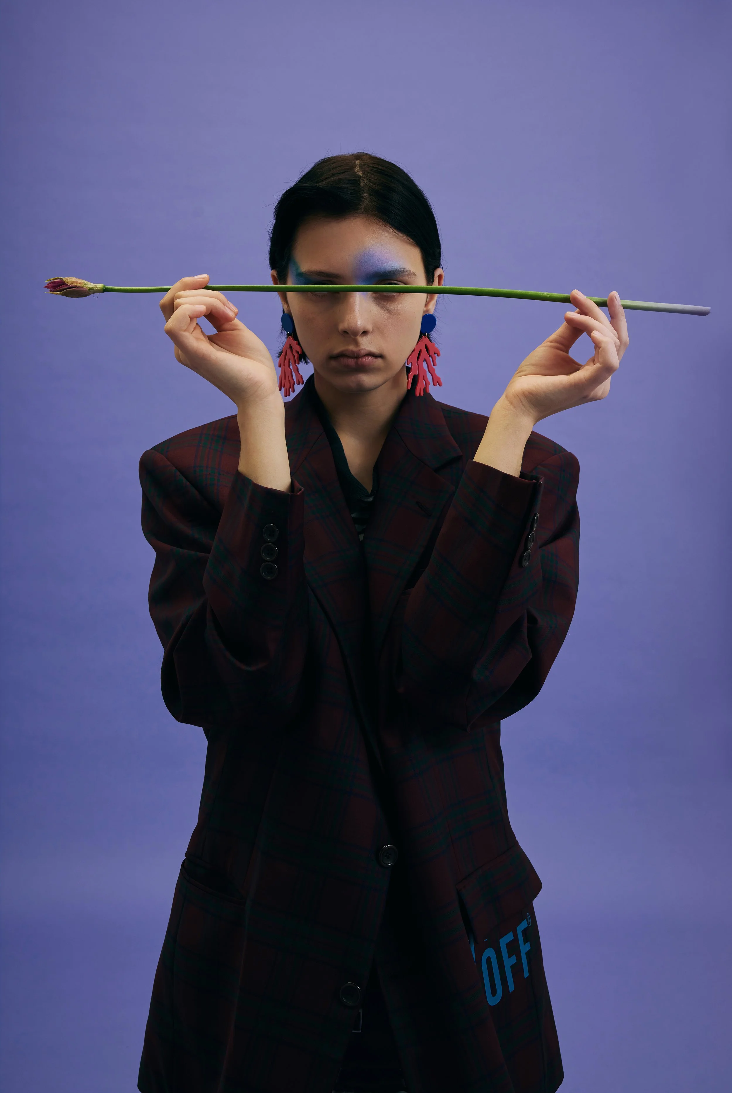 Project in Studio Part 111296 d.jpg