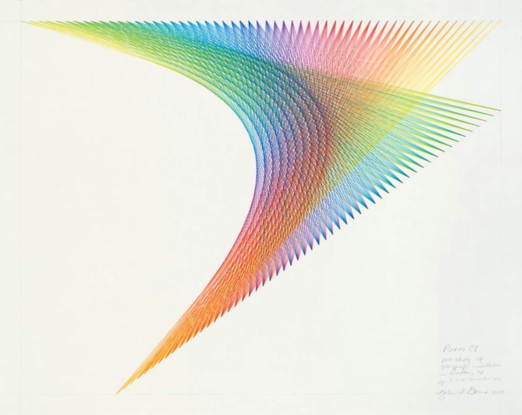 Gabriel Dawe Plexus C8, 2014 Colored pencil