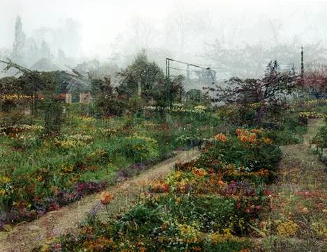 Sally Apfelbaum Horizontal Garden, 2012 C-Print