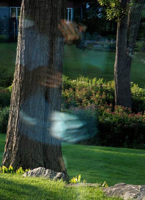 Judith Glickman Lauder Cape Elizabeth, Maine, 2012 Archival digital pigment print