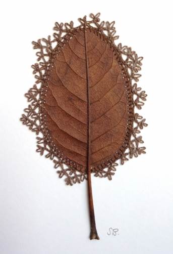 Susanna Bauer Adornment IX, 2016 Magnolia leaf and cotton thread