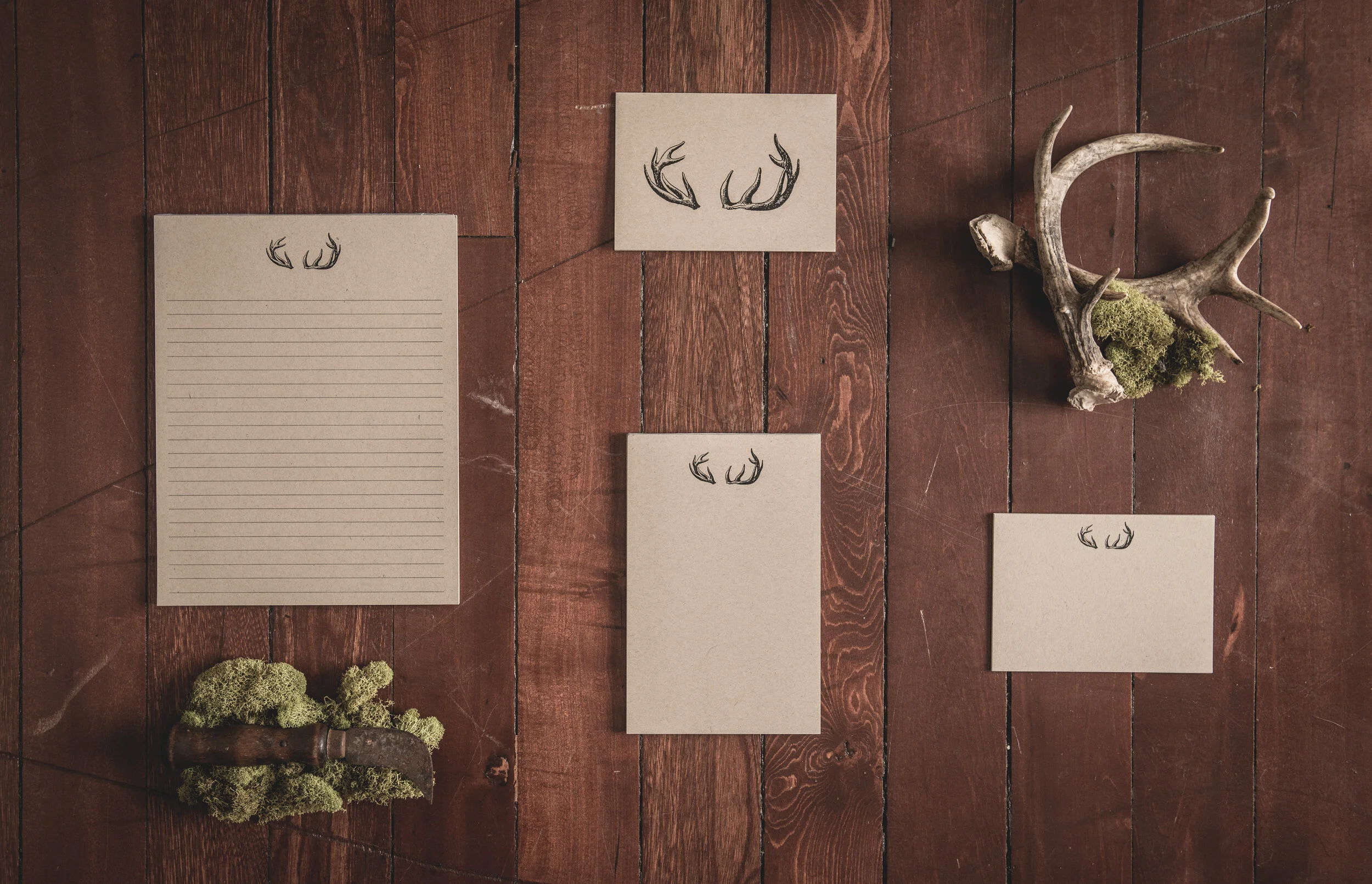 ANTLER COLLECTION