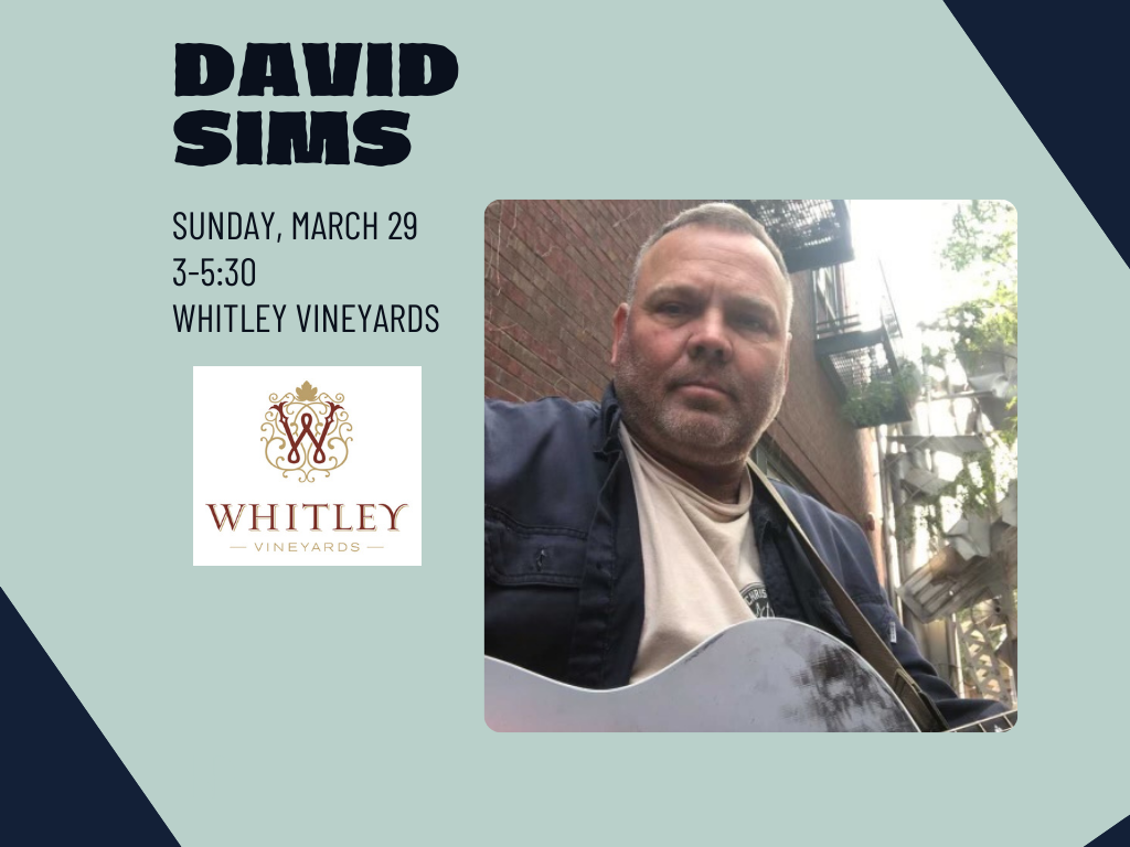 David Sims