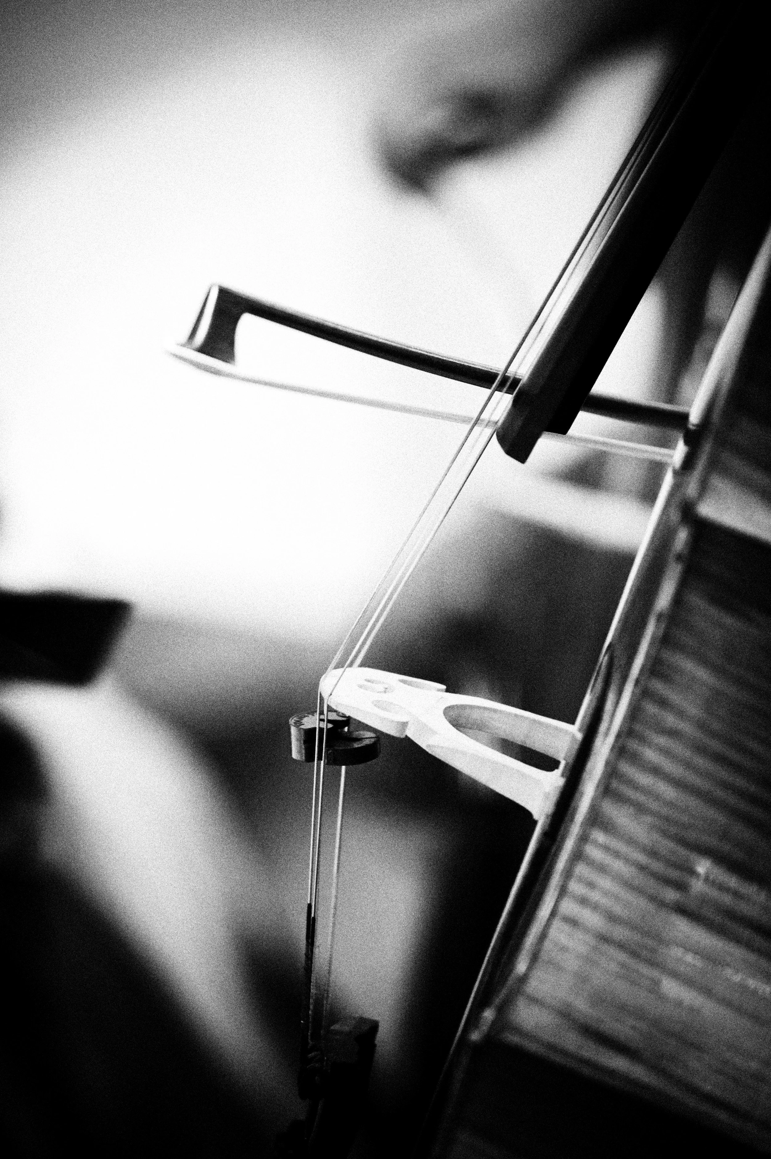 _DSC0213BW.jpg