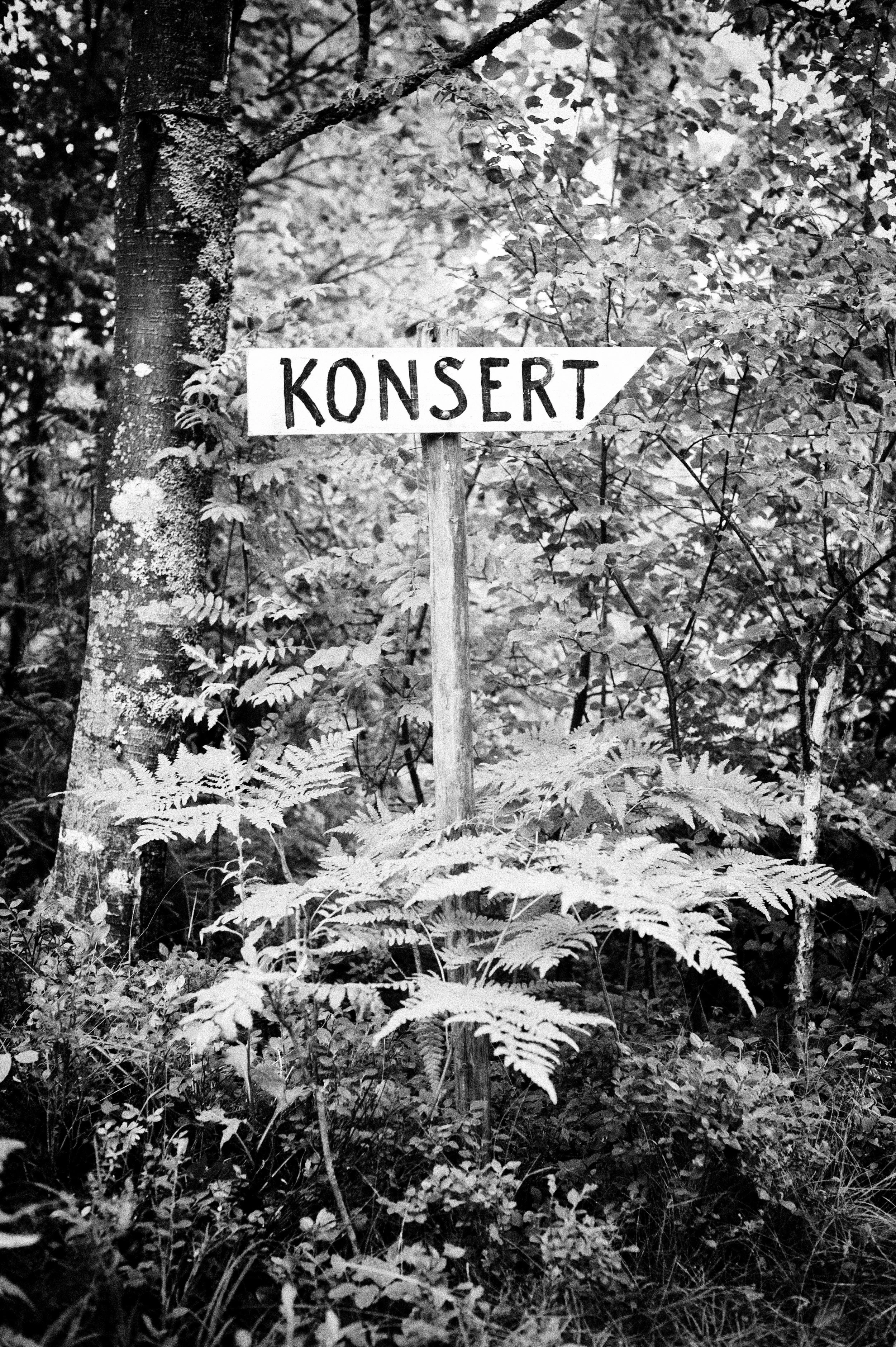 _DSC0311BW.jpg