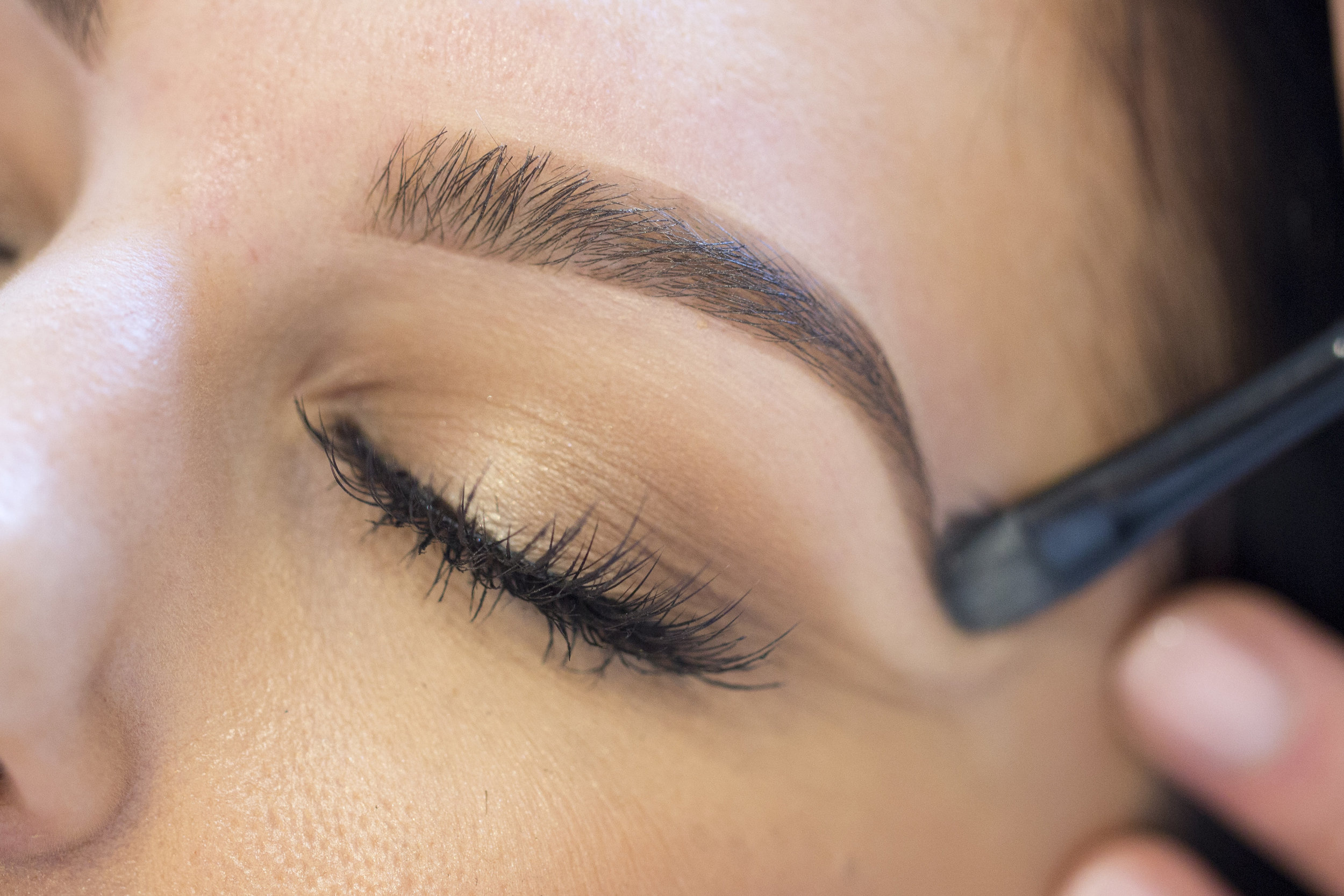 COPY-TPMEyebrows_0B5B4038.jpg