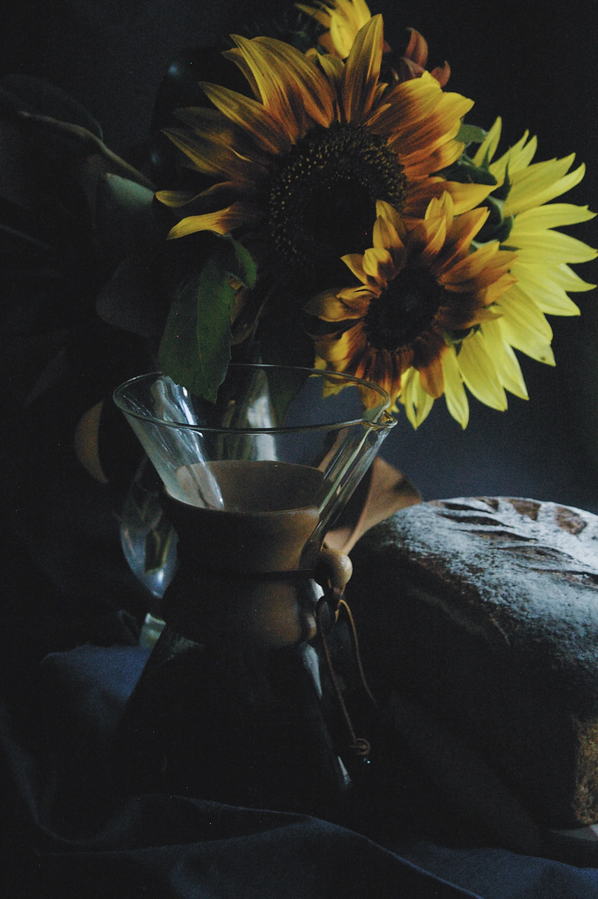D4FF4937-EE67-413E-AC66-327CF6672685.jpg
