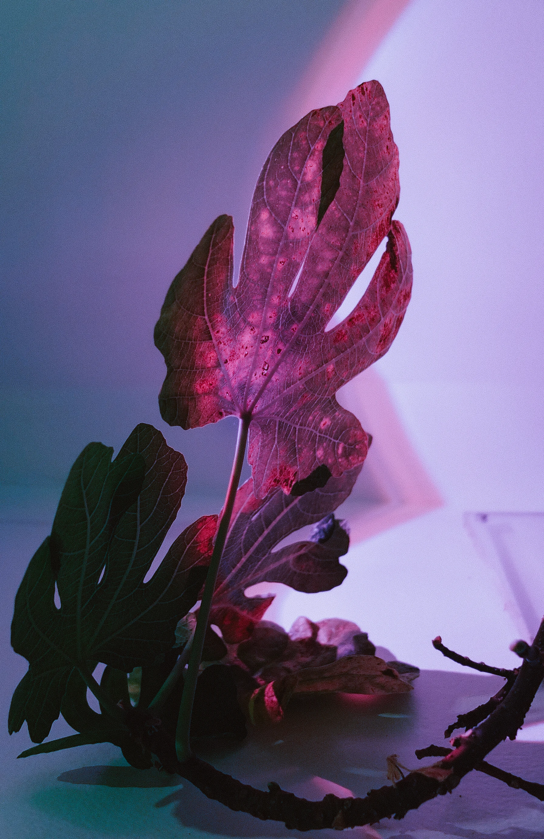 Energy2 (1 of 1).jpg