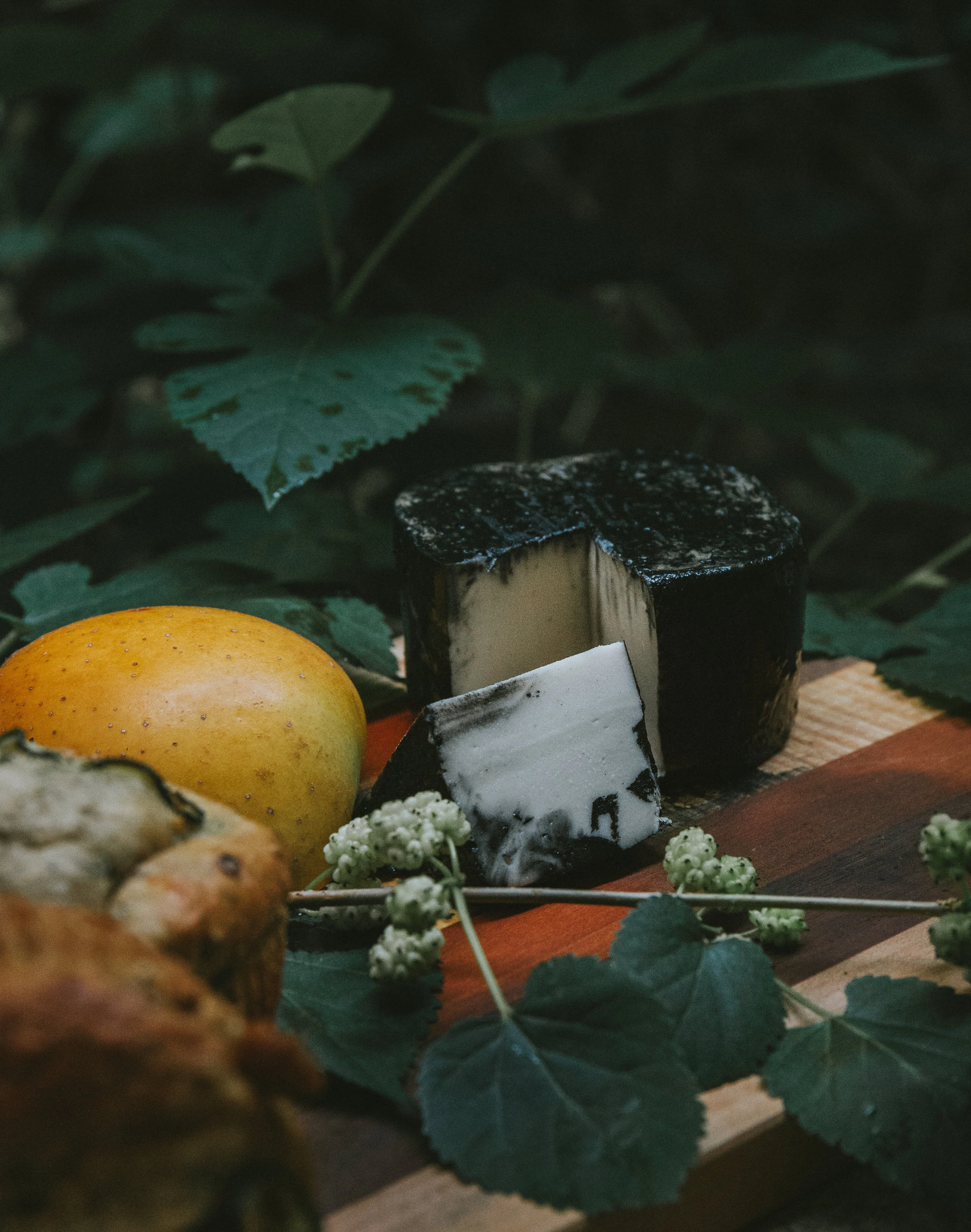 BrieandApple (1 of 1).jpg