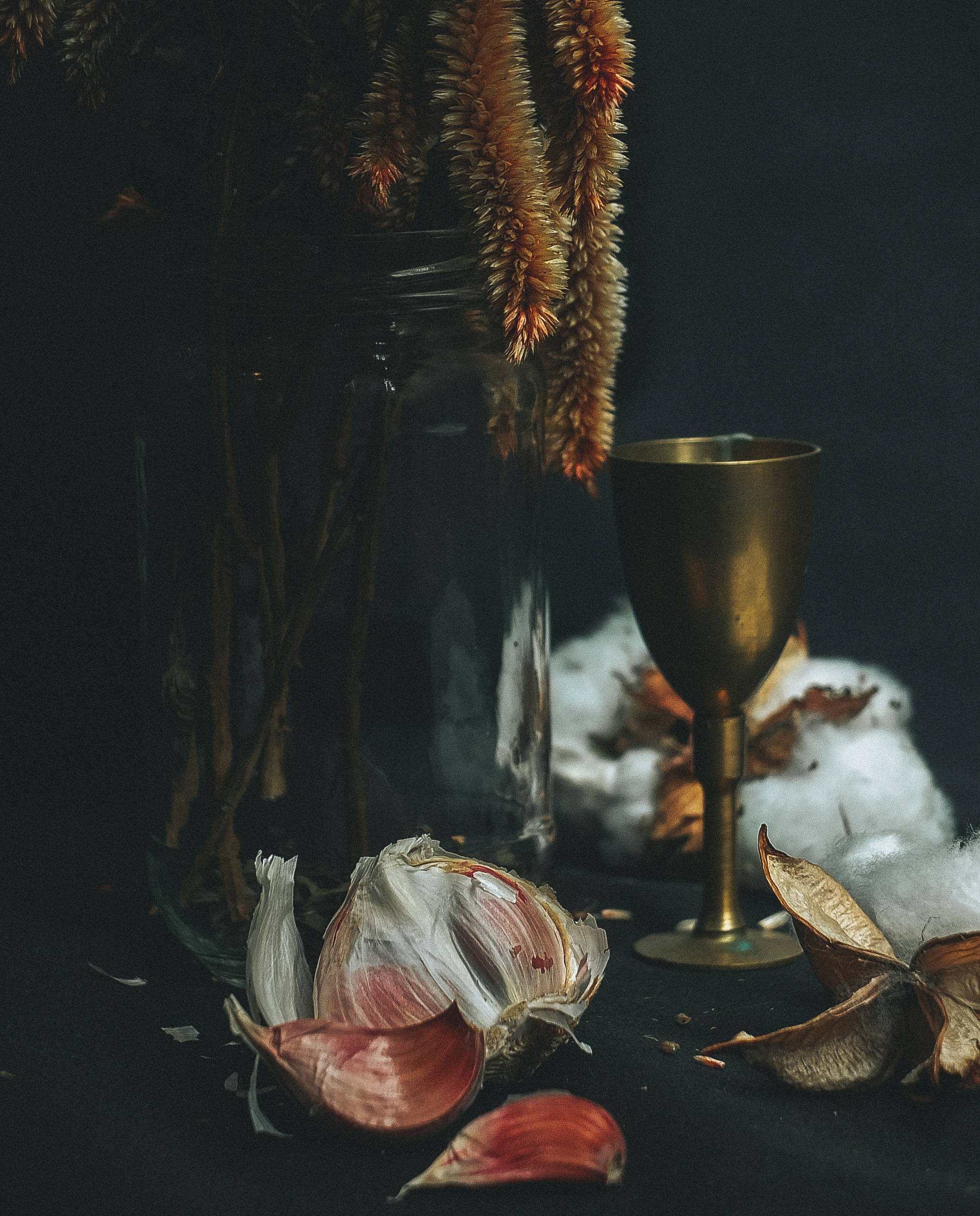 garlic (1 of 1).jpg
