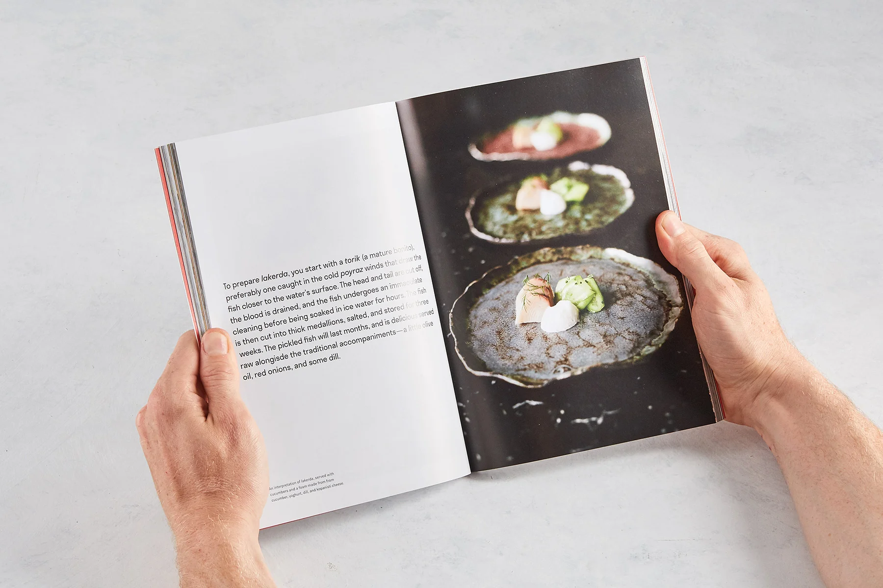 Fare_Magazine_Hands_12.jpg