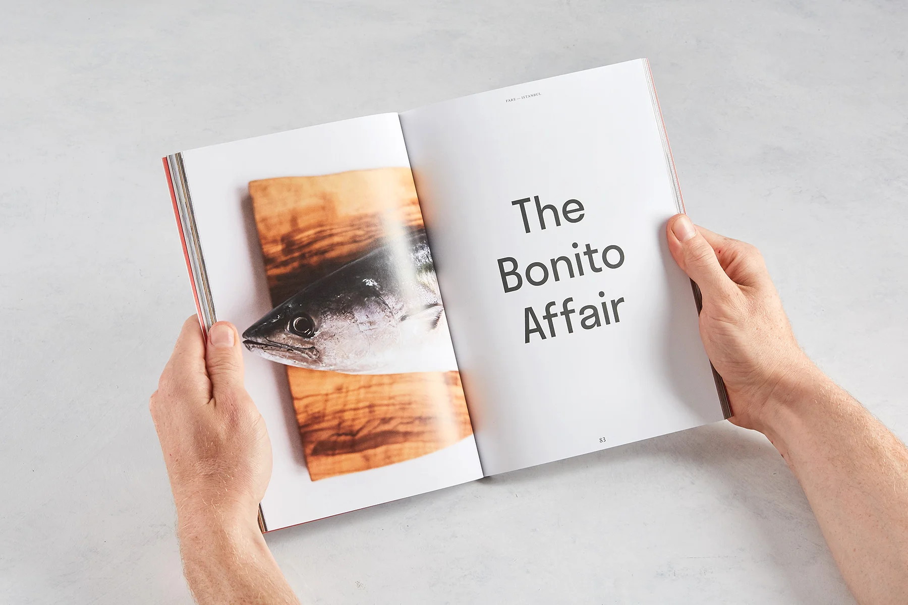 Fare_Magazine_Hands_11.jpg