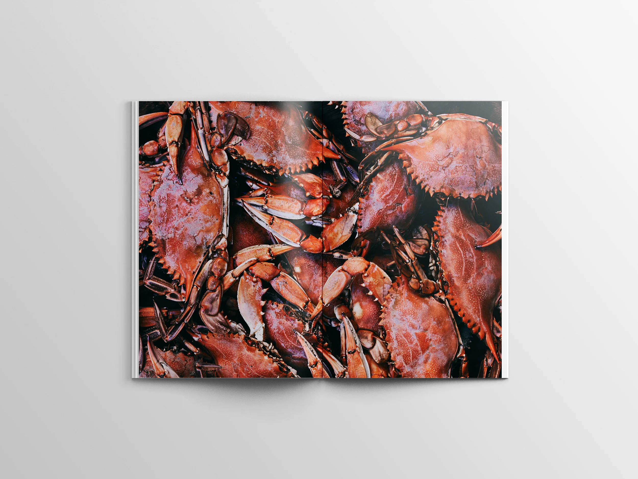 FARE-Charleston-Mockup_12.jpg