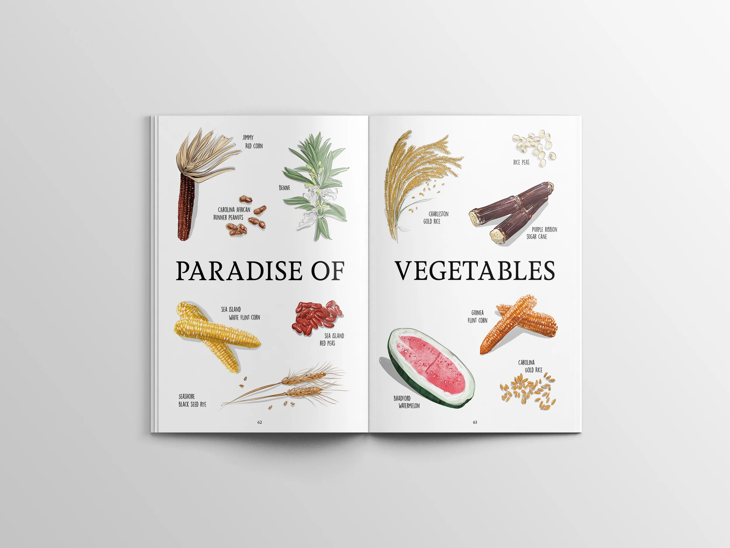 issue3_charleston_fare_17.jpg