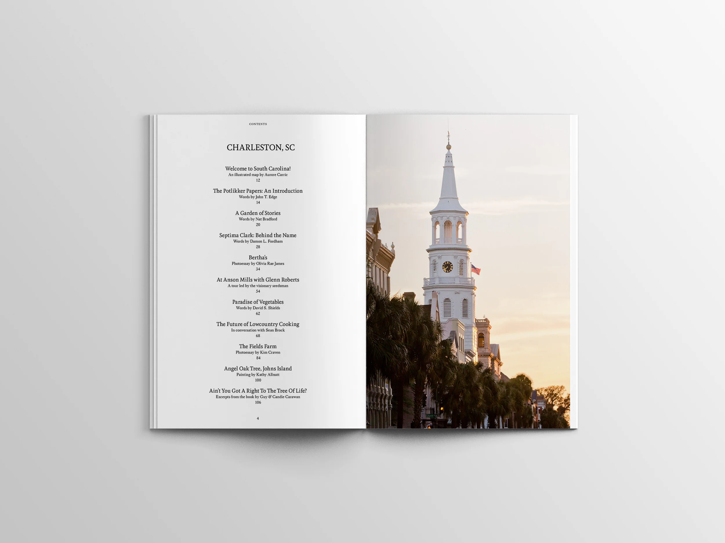 issue3_charleston_fare_21.jpg