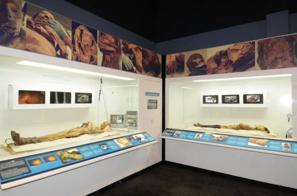 Scientific Analysis room