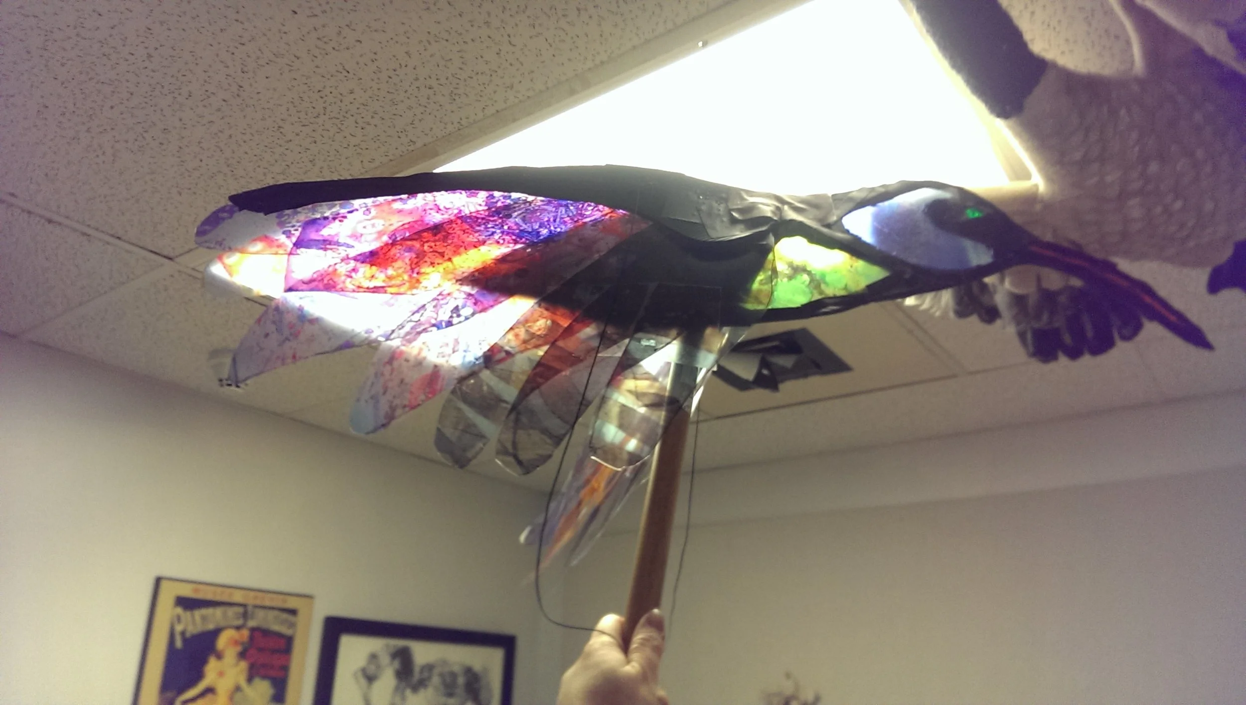 Sun and Shadows Hummingbird Puppet.jpg