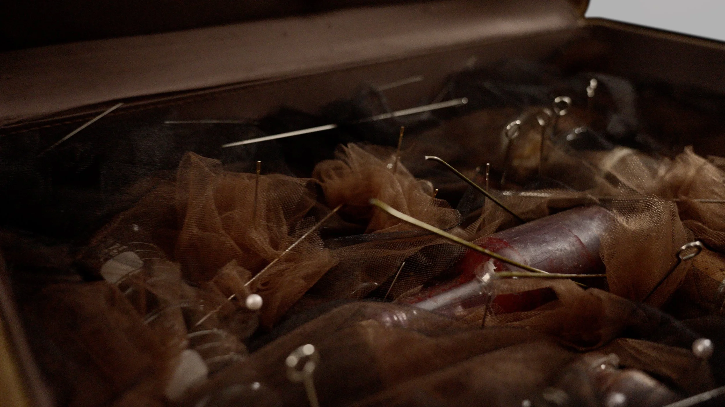 6Close Up-Confuso(1) copy.jpg