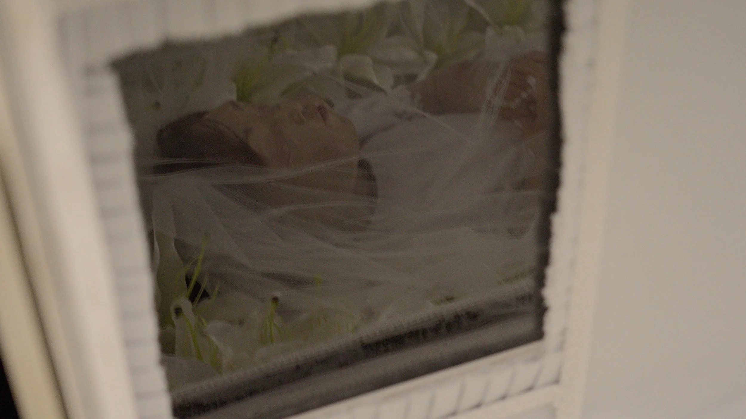 28Close Up-DeadChild copy.jpg