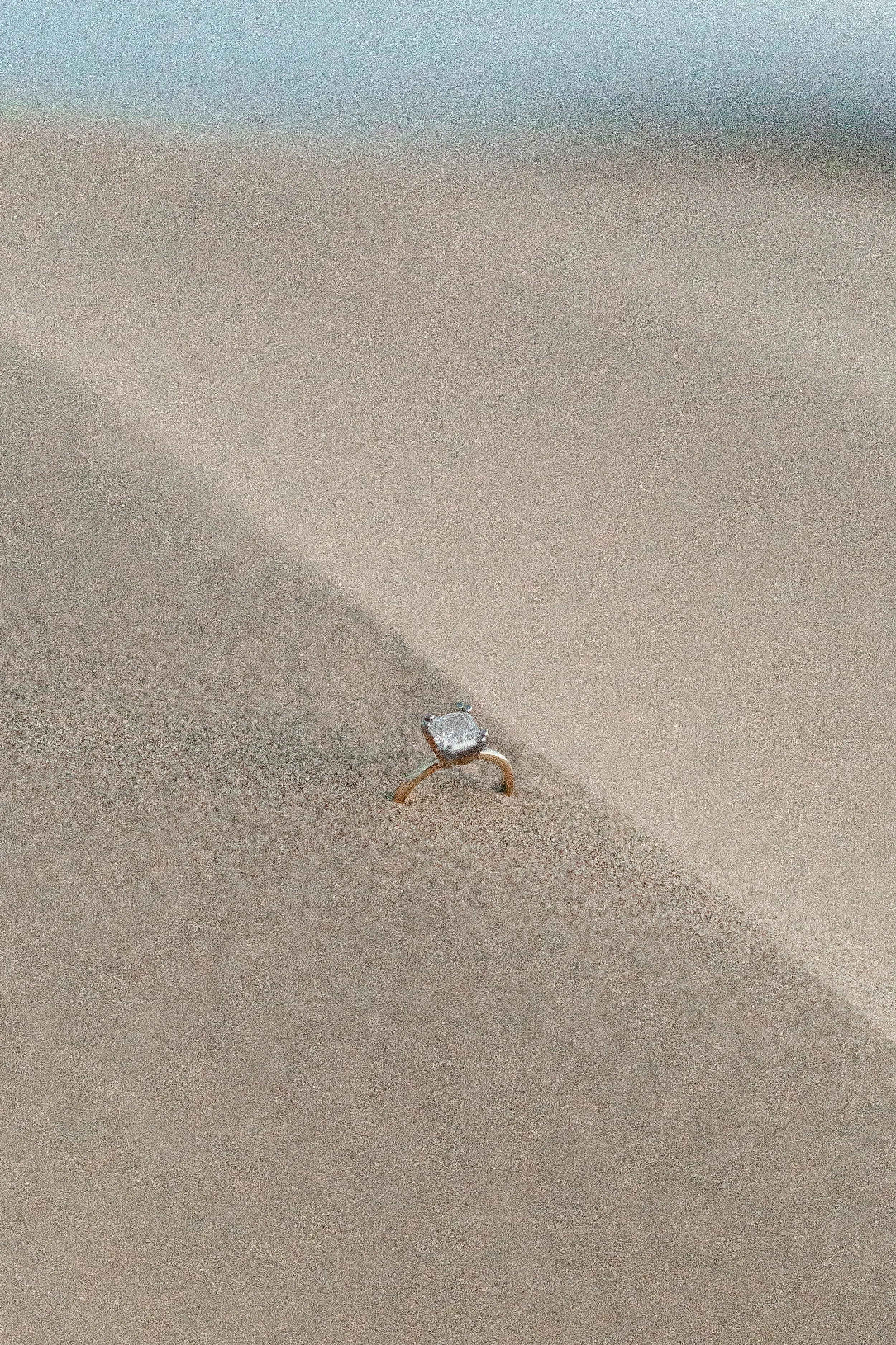 780A0872.jpg