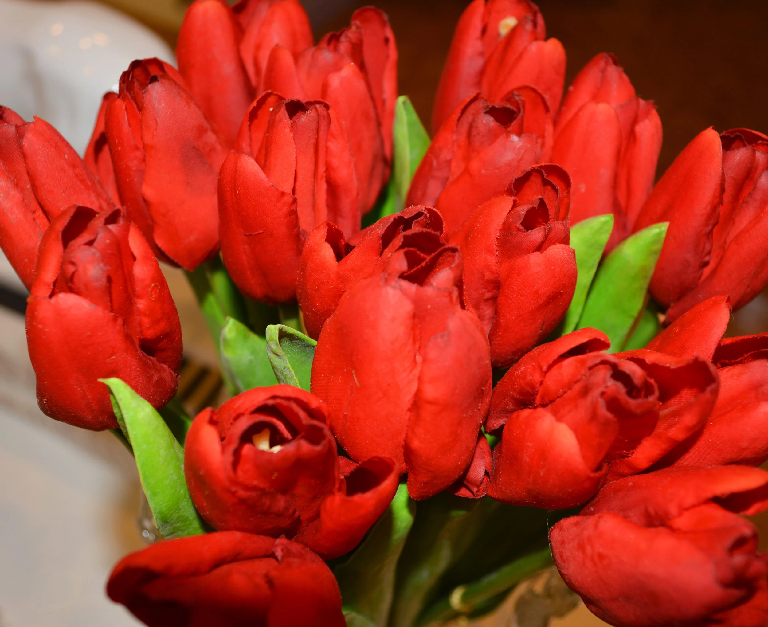 Merci - Tulips.jpg