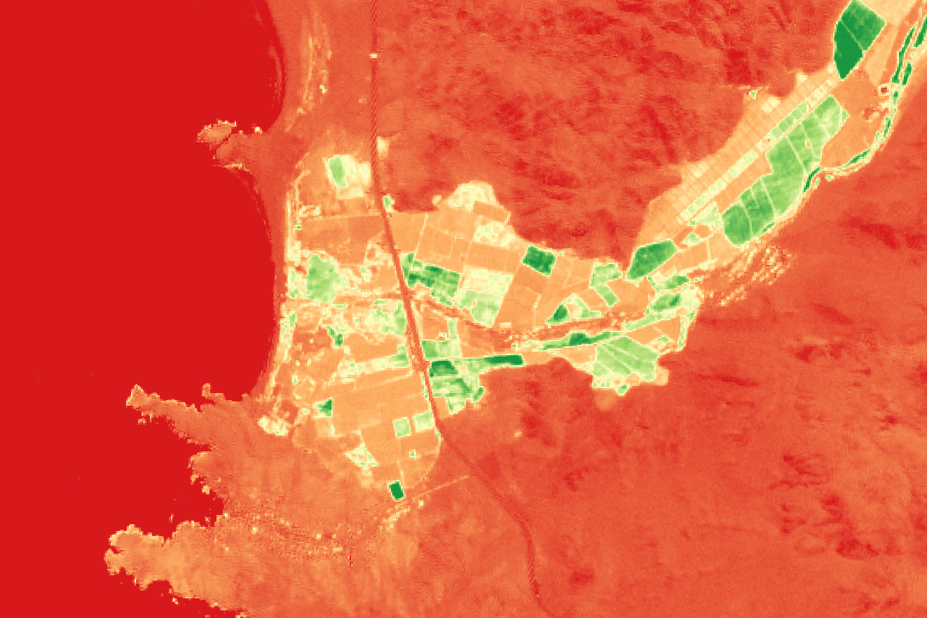 NDVI.png