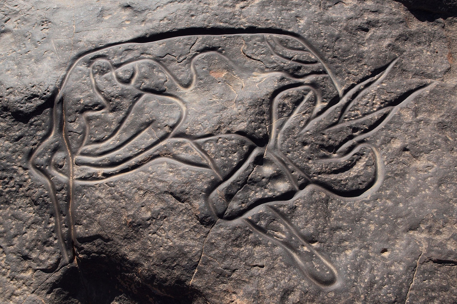 Rock art in Tassili n'Ajjer