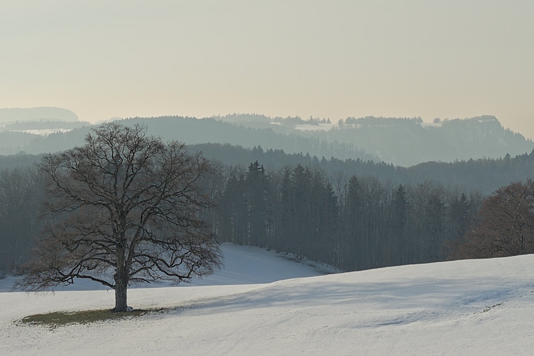 Swabian Alb in Winter 