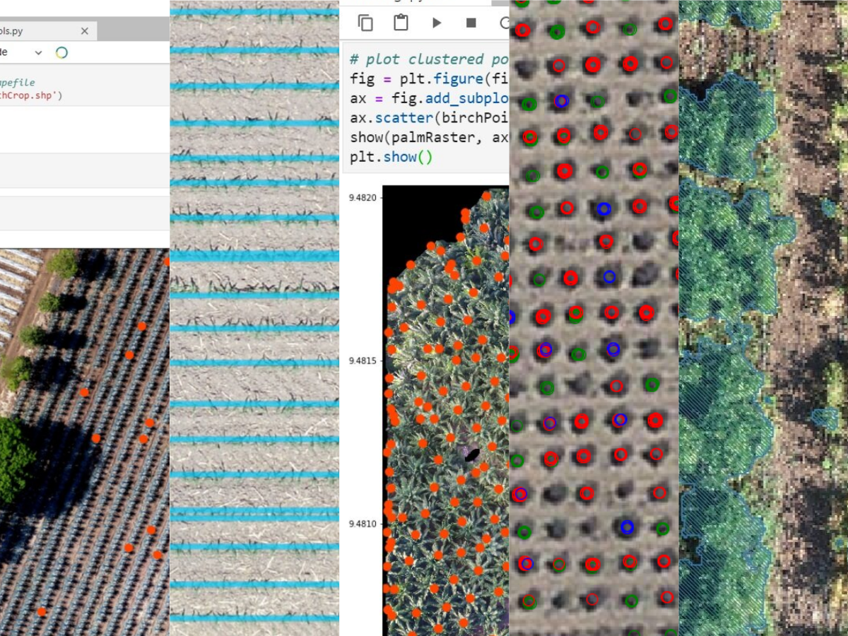 5 tutorials for crop detection and vegetation delineation with Python ...