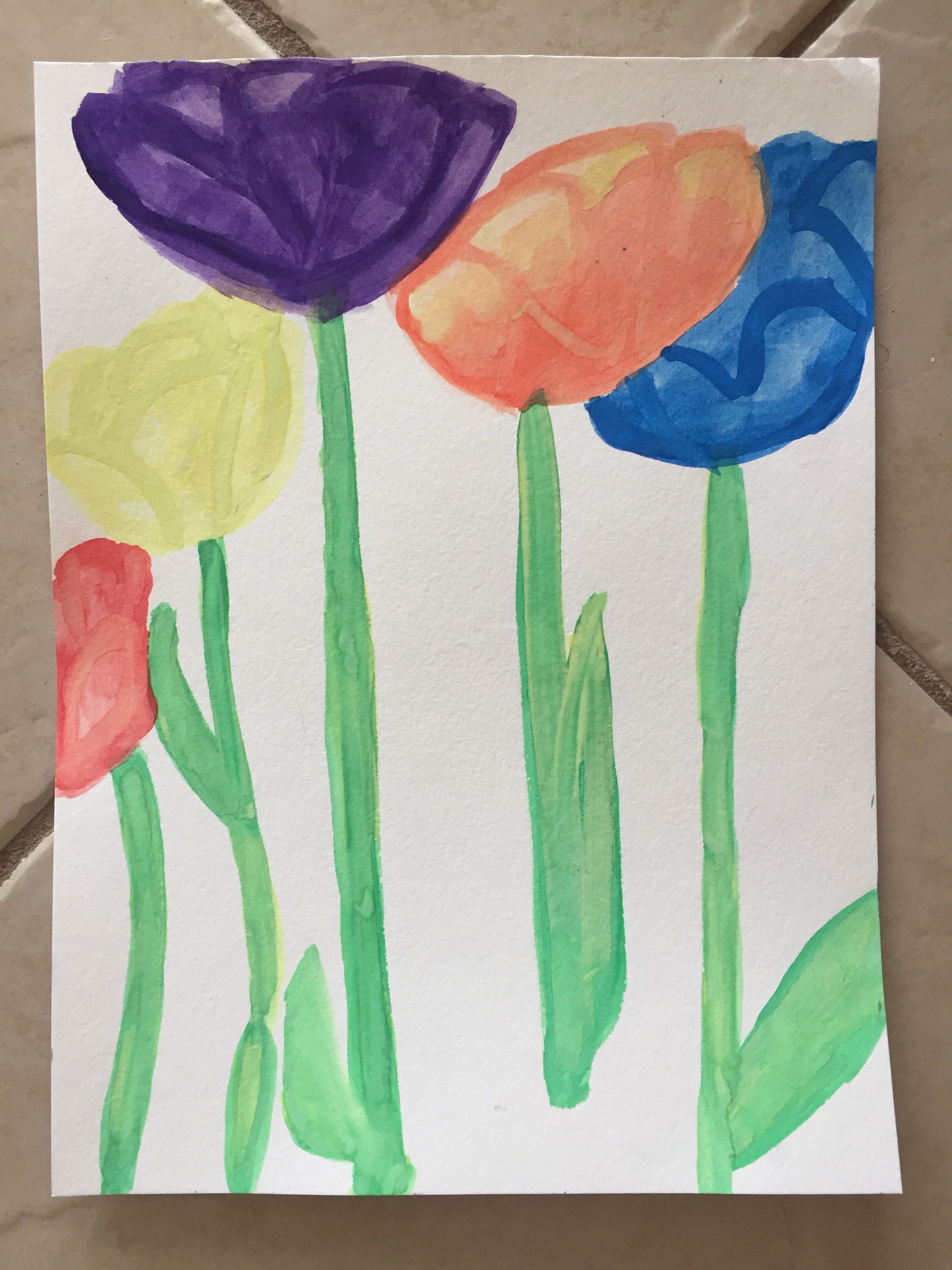 My attempt at a tulip garden! Don't laugh too hard.