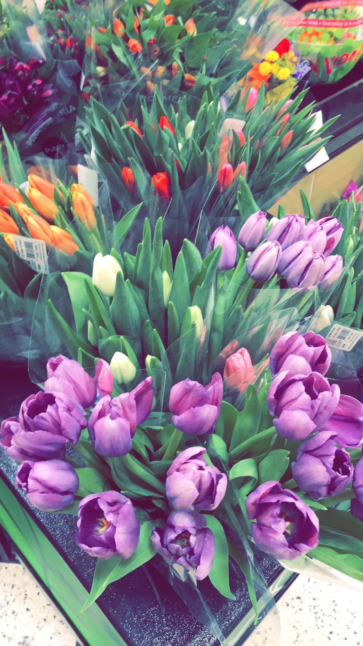 Cultivate Your Full Bloom 