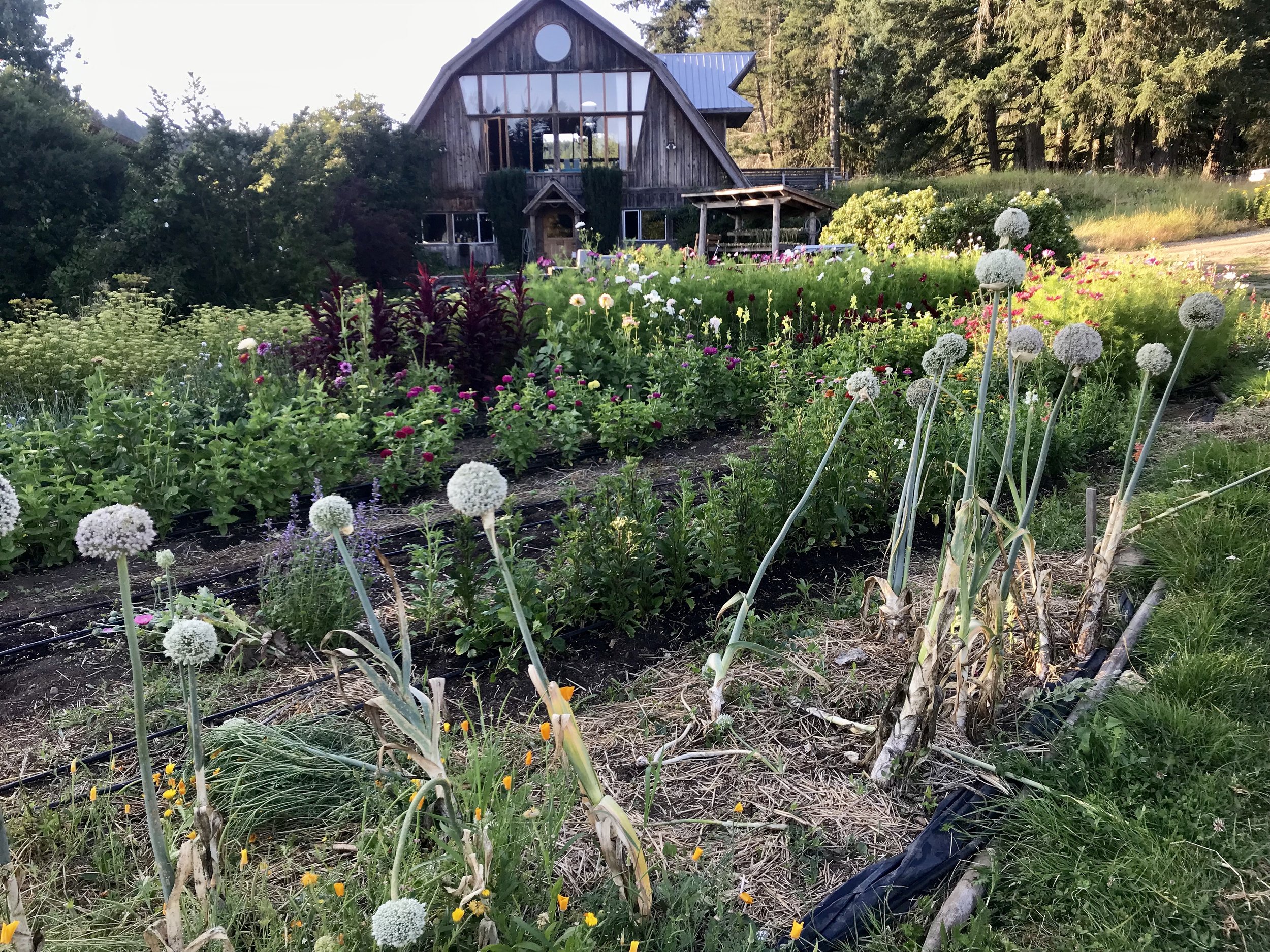 A Retreat Back to Self