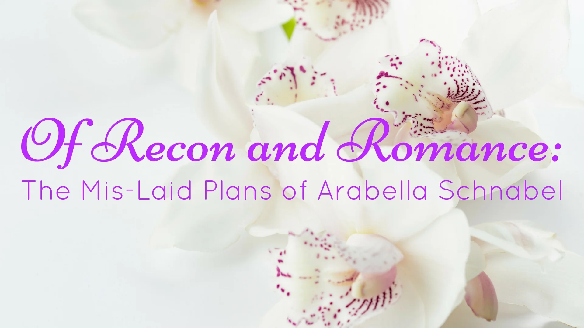 Of Recon and Romance: The Mis-Laid Plans of Arabella Schnabel