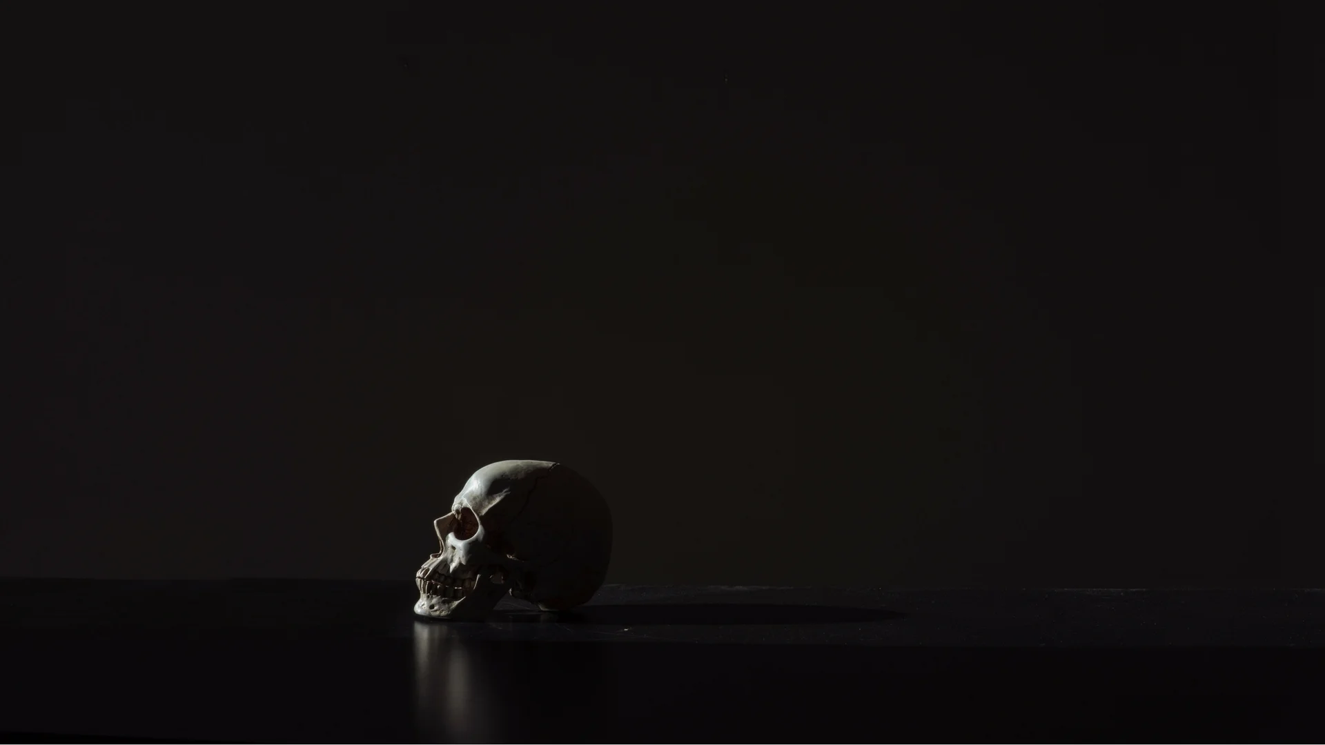 banner-ppzombies.jpg