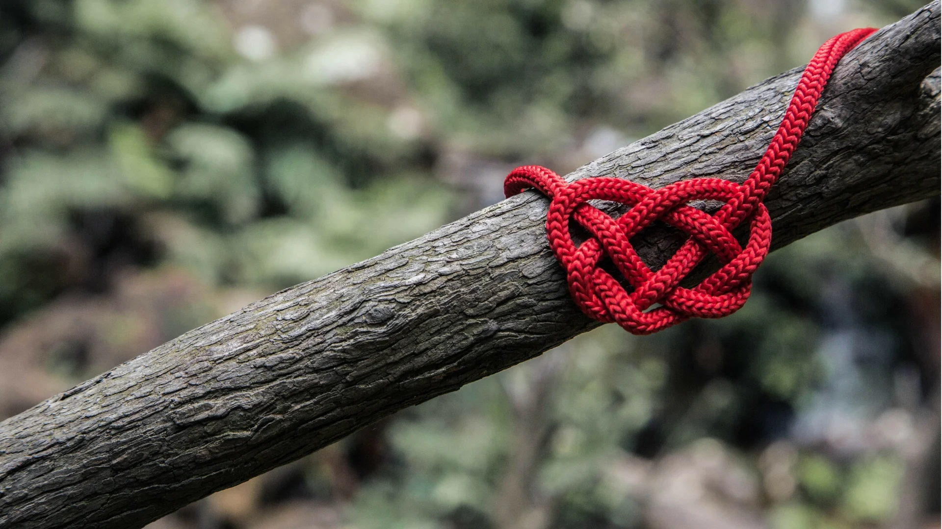 banner-oak-heart.jpg