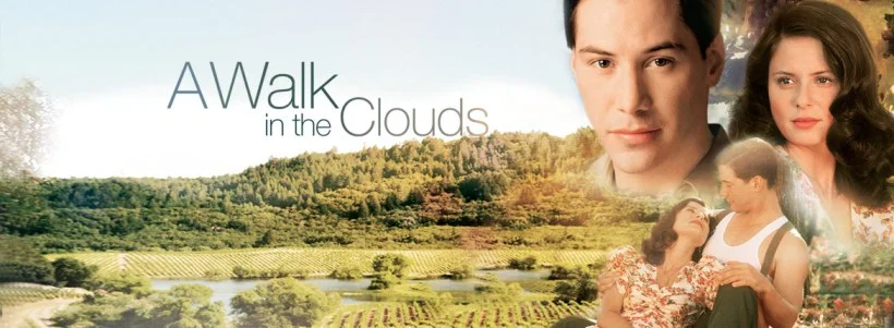a walk in the clouds.jpg