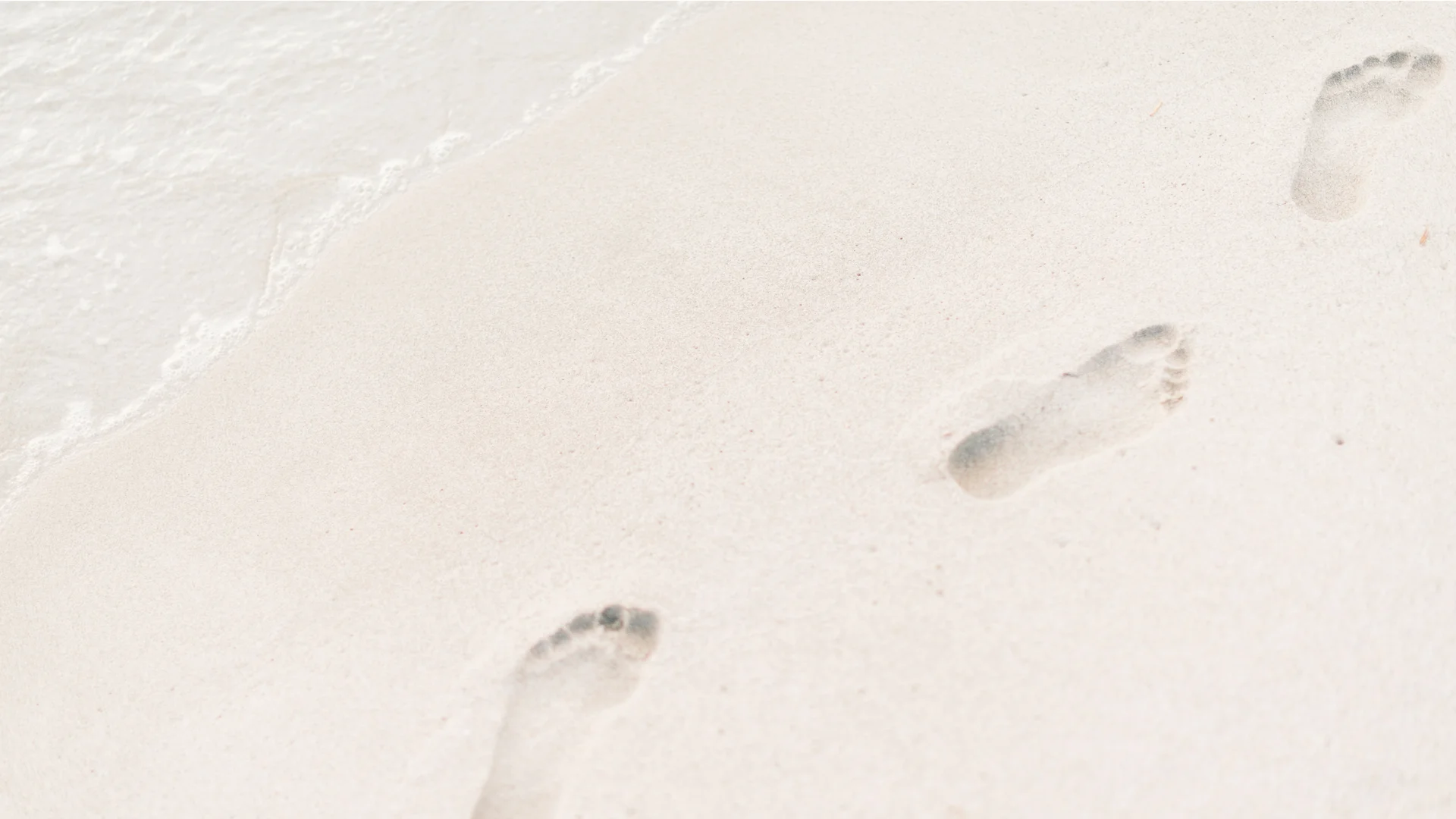 banner-summer-8.jpg