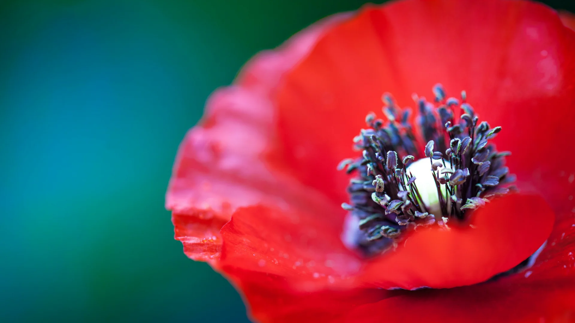 banner-summer-14.jpg