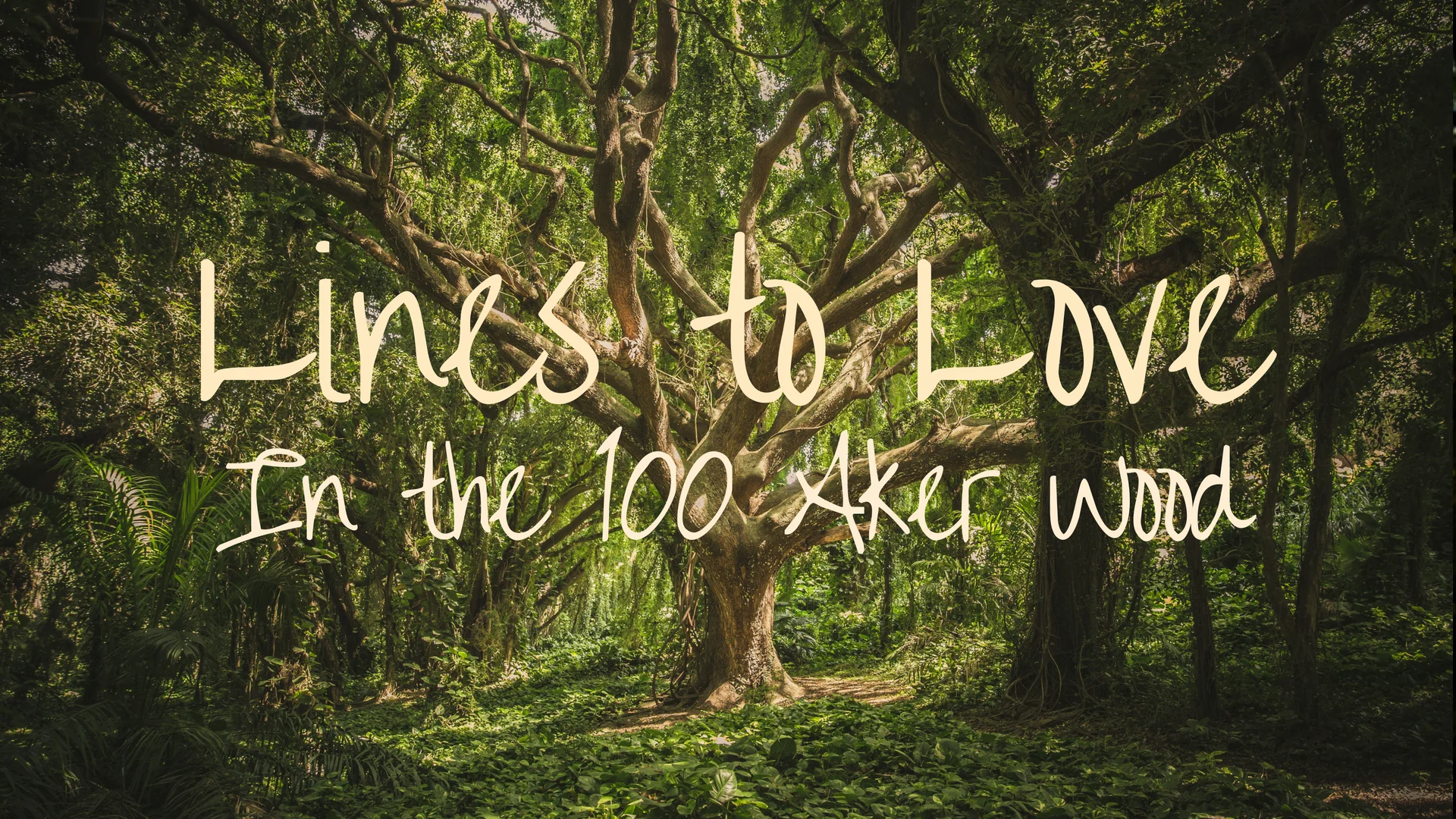 banner-lines-to-love-in-the-100-aker-wood.jpg