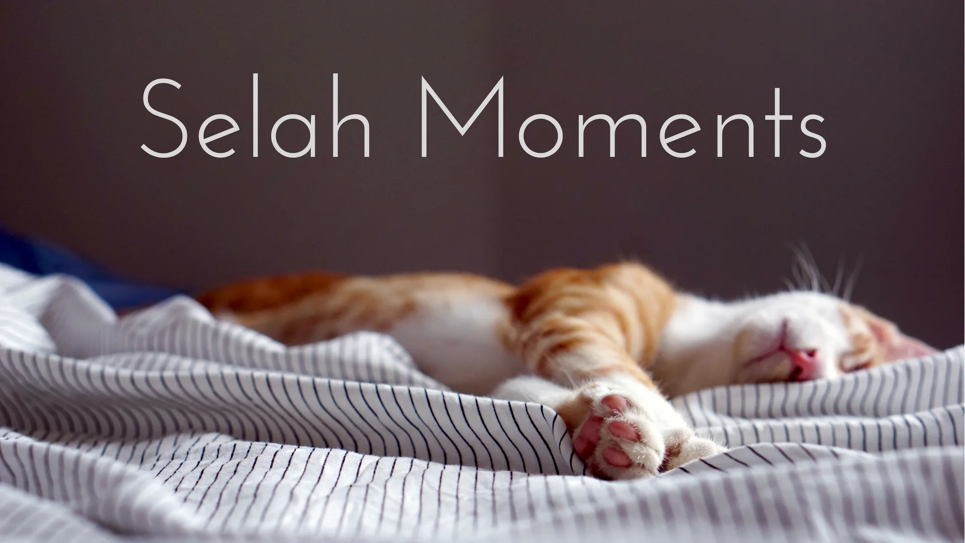 banner-selah-moments-02.jpg