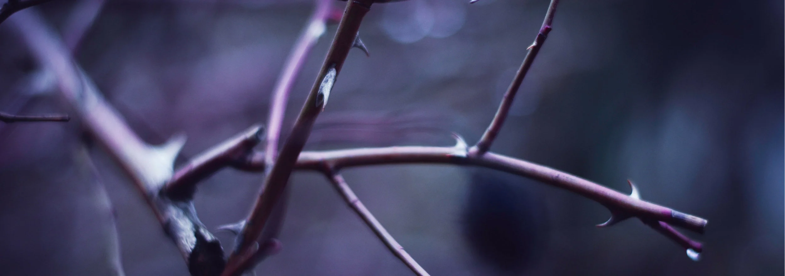 banner-selah-moments-04.jpg