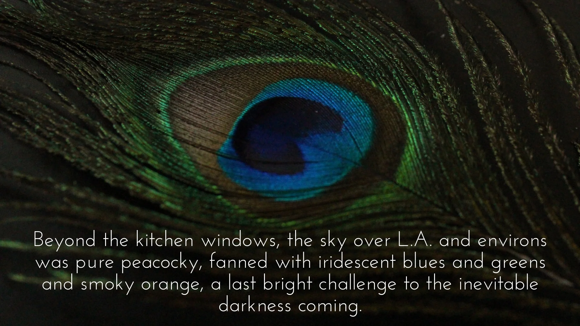 banner-lines-to-love-the-silent-corner-04.jpg